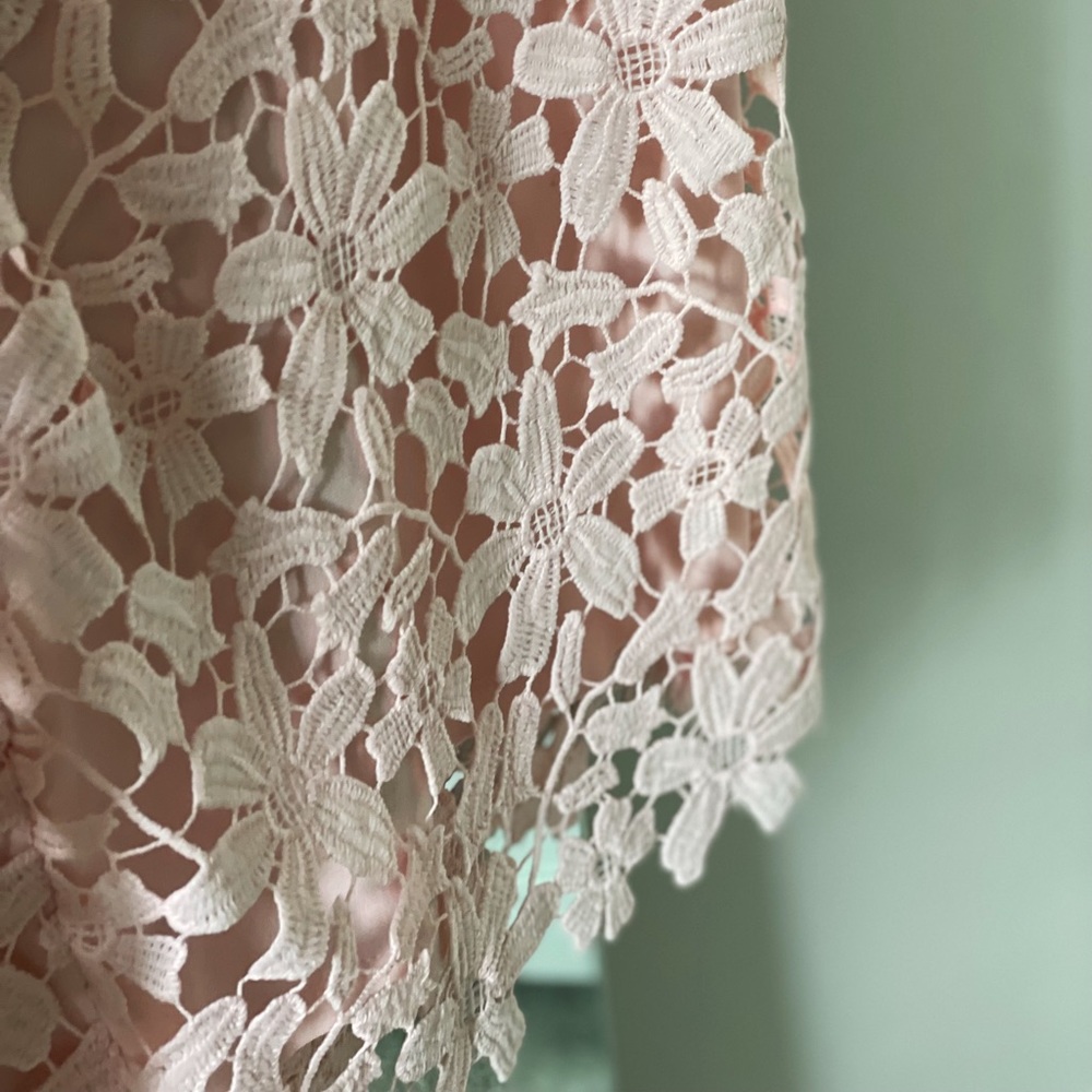 Size 6 Lauren Ralph Lauren Pink Eyelet Sunday Brunch Dress